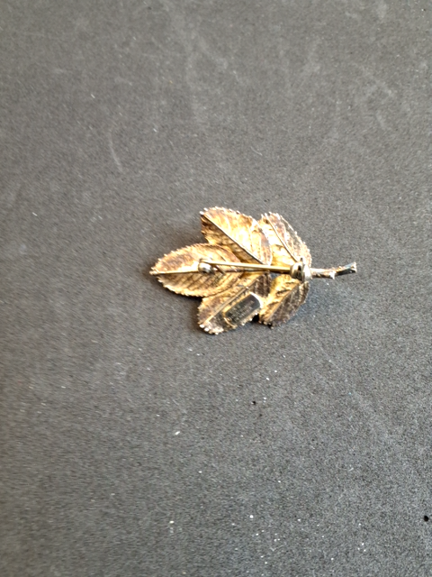 Flora Danica Broche